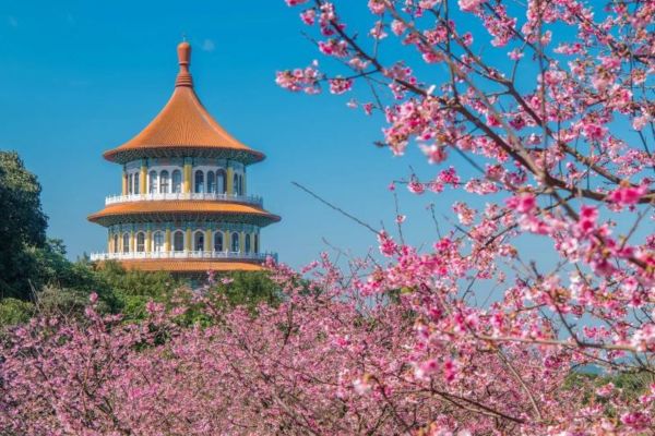 Tour khám phá Đài Loan 2026 5 ngày 4 đêm